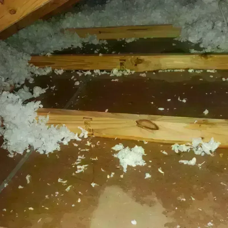 Attic Water Damage in Mott Haven, NY